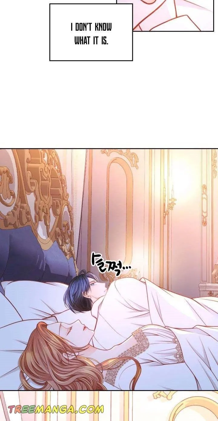 Secret Wardrobe Of The Duchess Chapter 19 page 41 - 