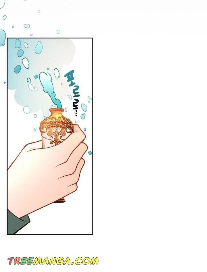 Secret Wardrobe Of The Duchess Chapter 22 page 38 - 