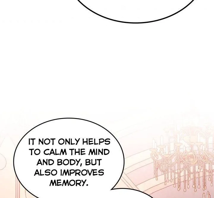 Secret Wardrobe Of The Duchess Chapter 23 page 28 - 