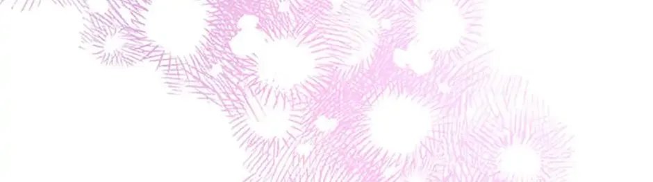 Secret Wardrobe Of The Duchess Chapter 28 page 73 - 