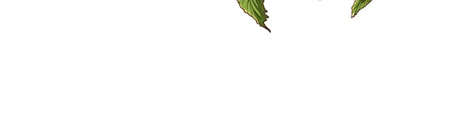 Secret Wardrobe Of The Duchess Chapter 29 page 99 - 