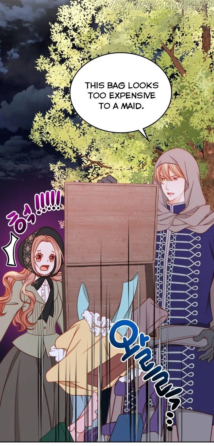 Secret Wardrobe Of The Duchess Chapter 4 page 29 - 
