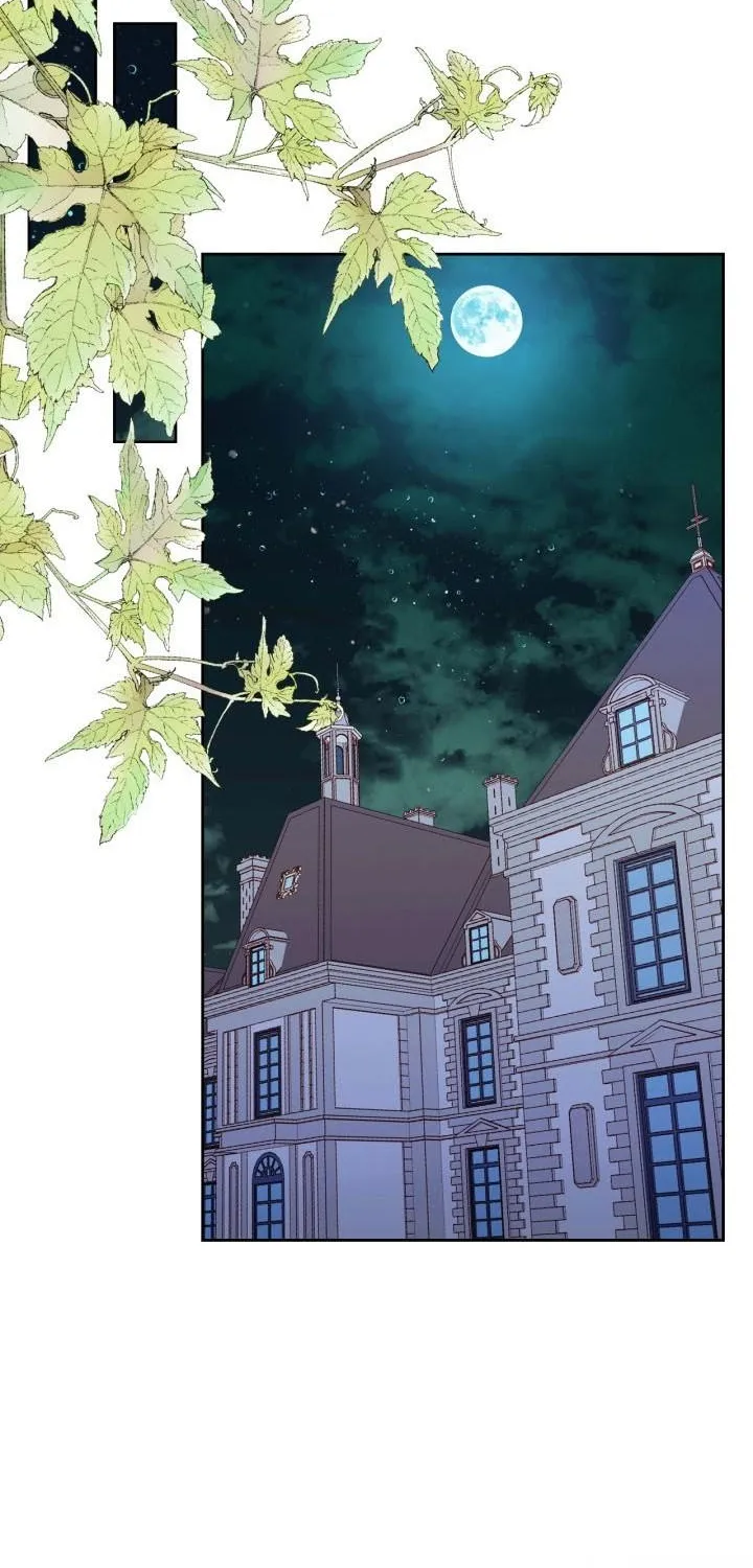 Secret Wardrobe Of The Duchess Chapter 7 page 17 - 