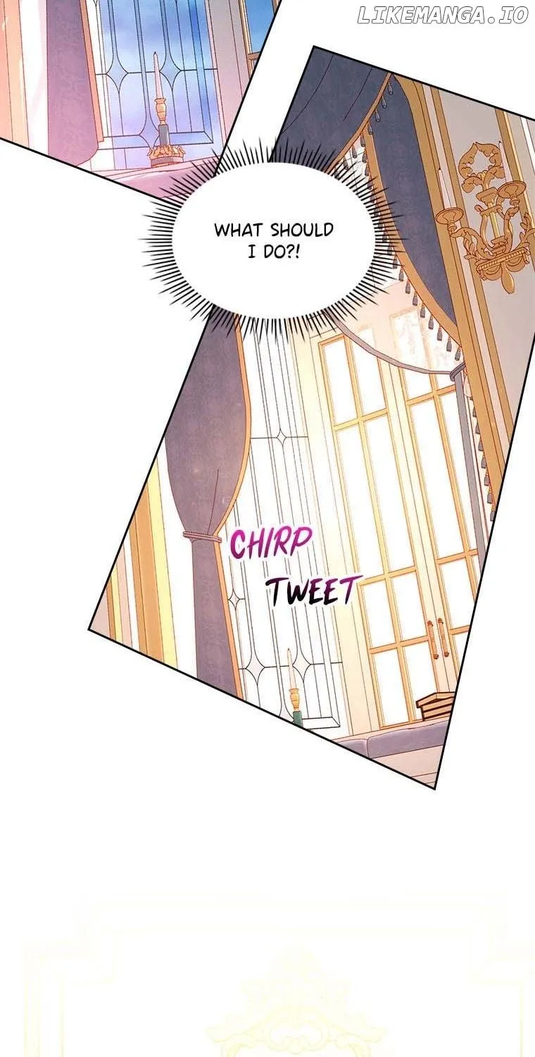 Secret Wardrobe Of The Duchess Chapter 78 page 132 - 