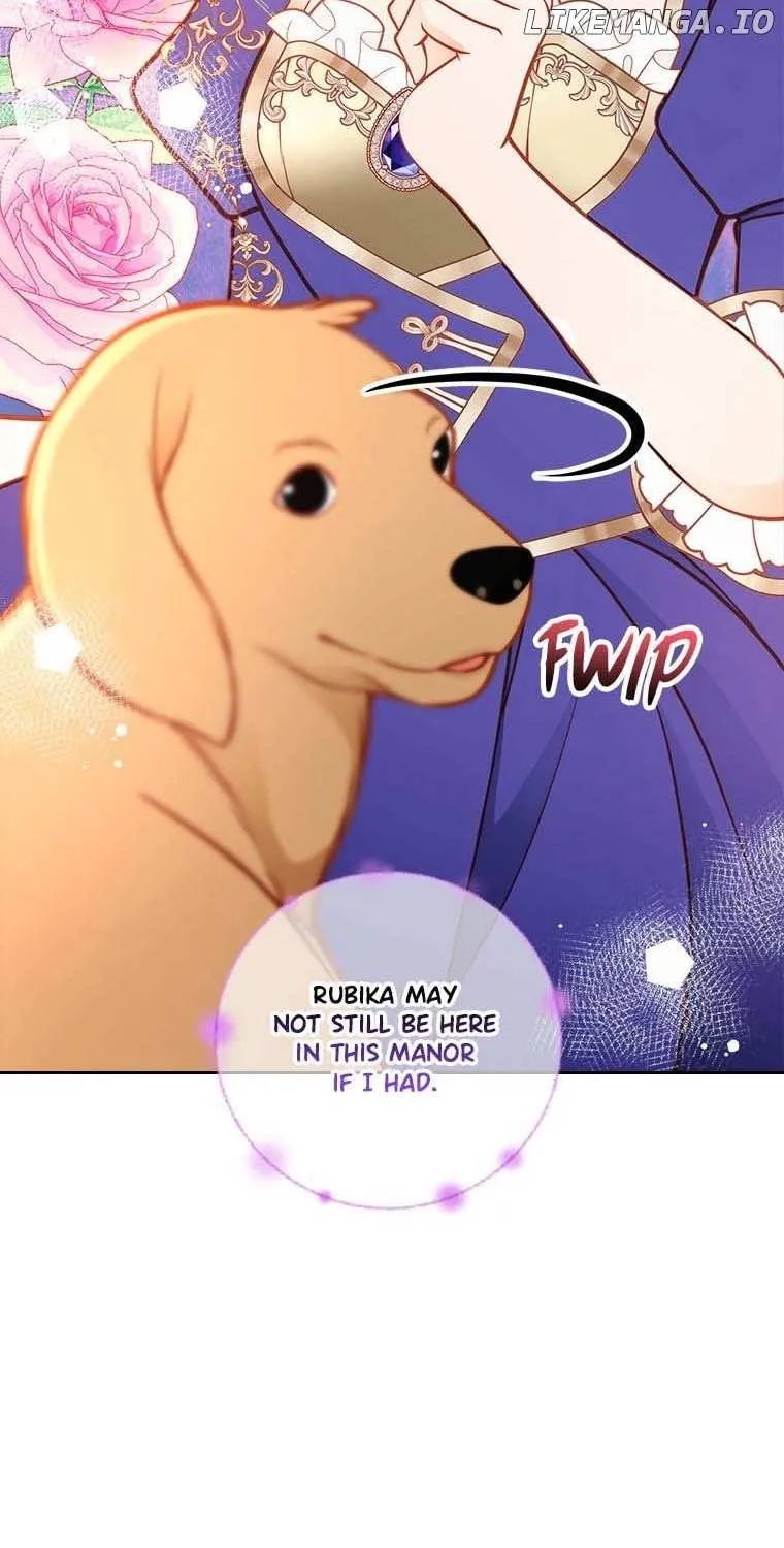 Secret Wardrobe Of The Duchess Chapter 80 page 18 - 