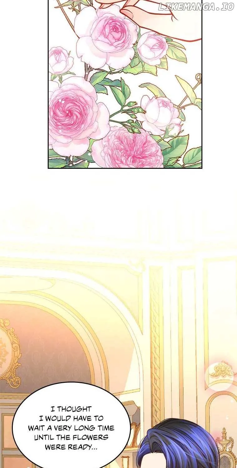 Secret Wardrobe Of The Duchess Chapter 81 page 100 - 