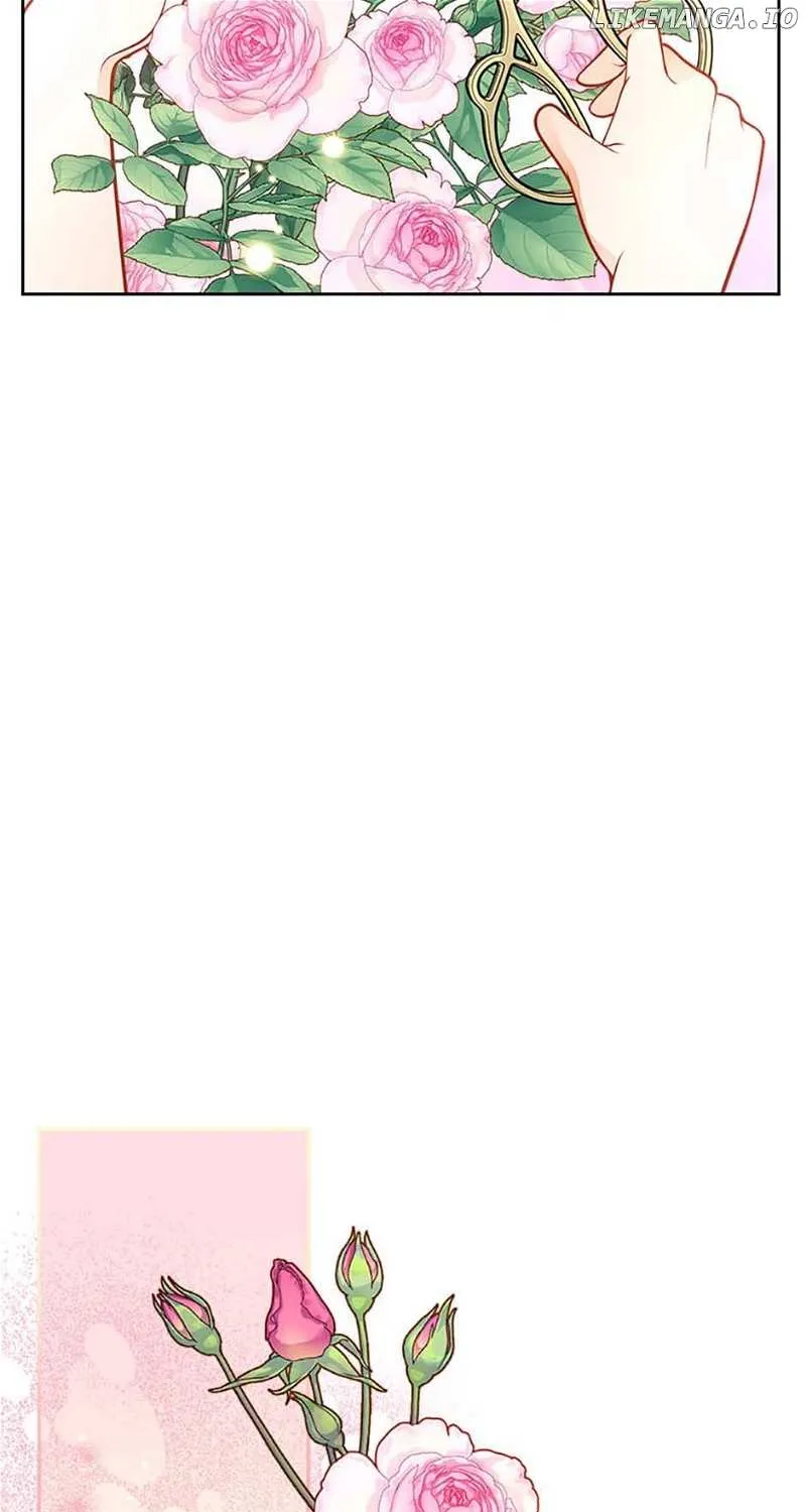 Secret Wardrobe Of The Duchess Chapter 82 page 46 - 