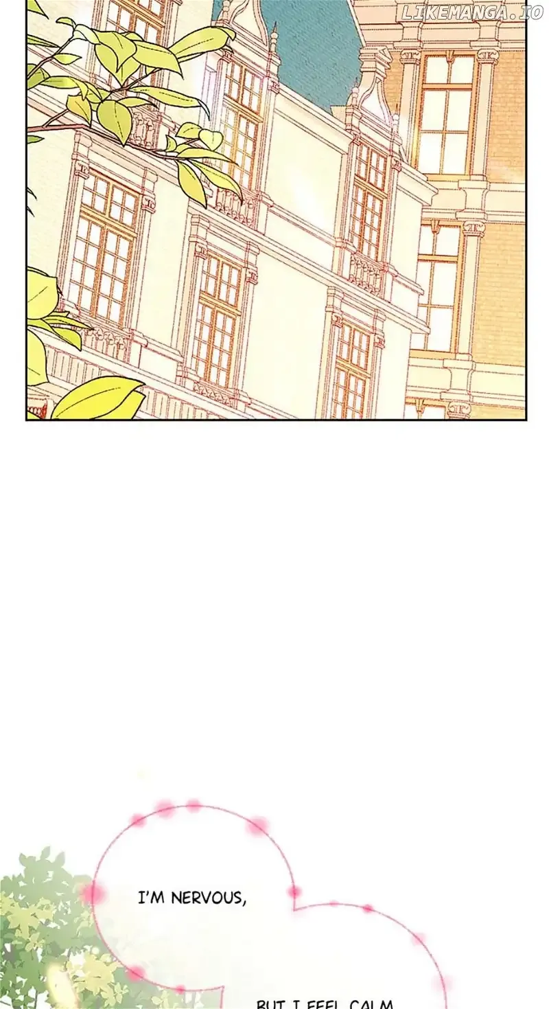 Secret Wardrobe Of The Duchess Chapter 83 page 122 - 