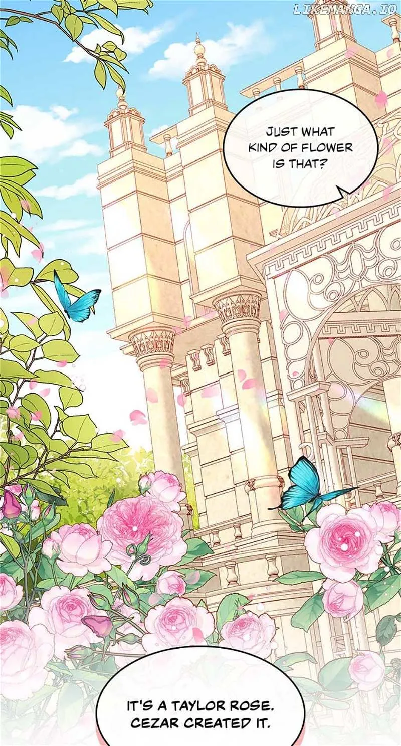 Secret Wardrobe Of The Duchess Chapter 84 page 26 - 