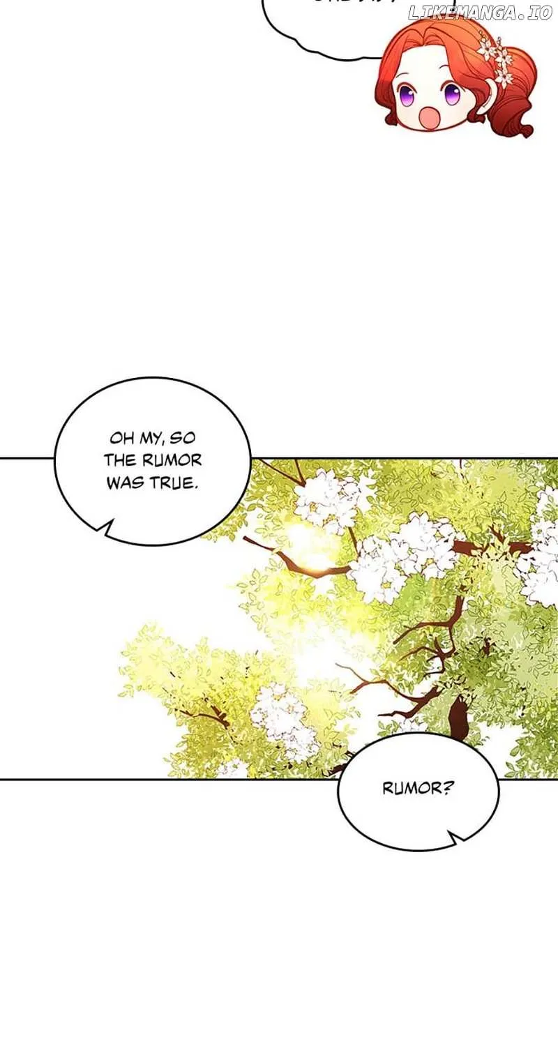 Secret Wardrobe Of The Duchess Chapter 84 page 94 - 