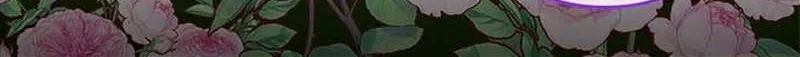 Secret Wardrobe Of The Duchess Chapter 86 page 115 - 
