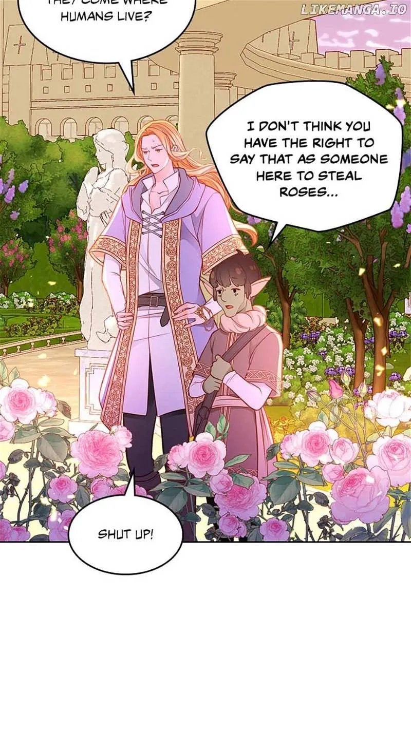 Secret Wardrobe Of The Duchess Chapter 86 page 147 - 