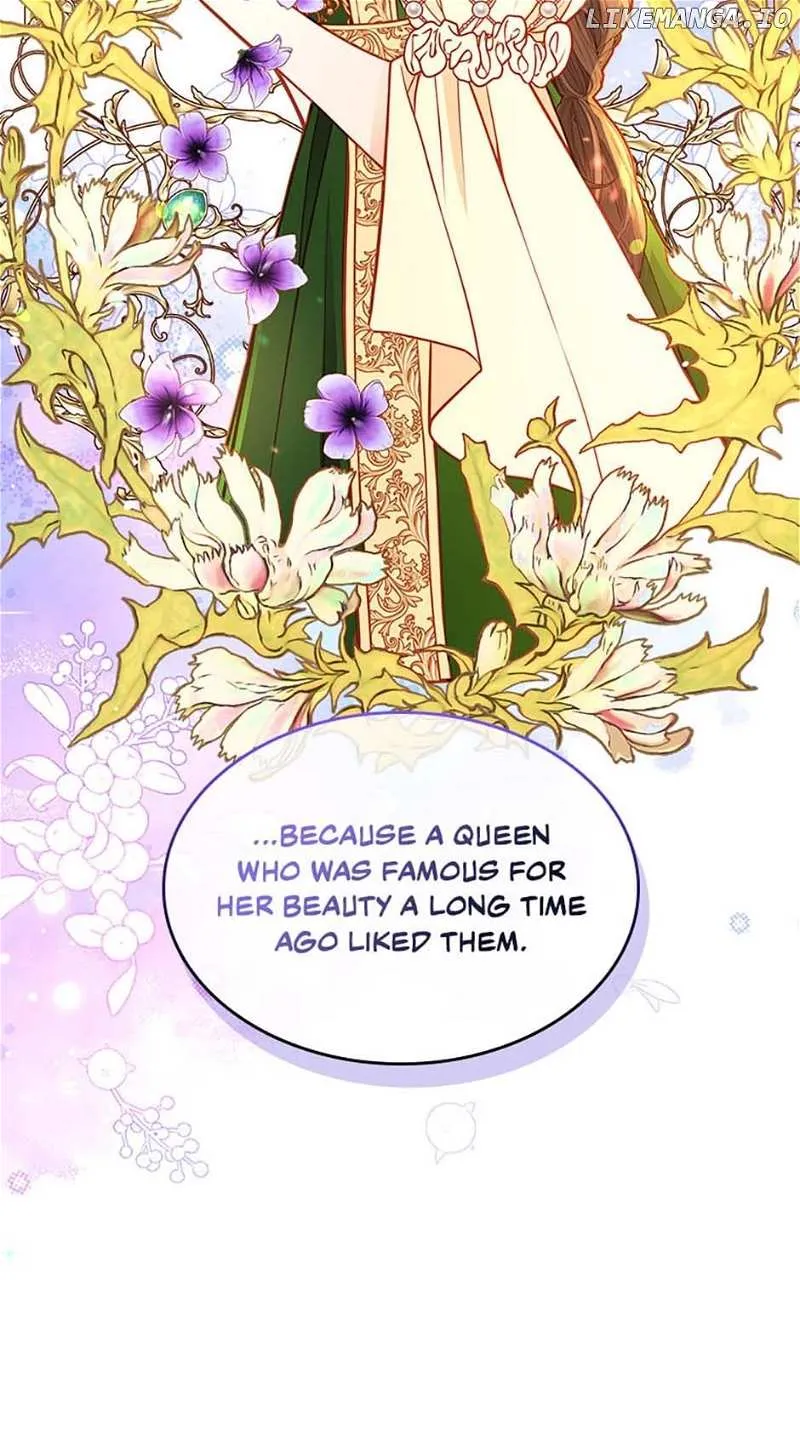 Secret Wardrobe Of The Duchess Chapter 88 page 92 - 