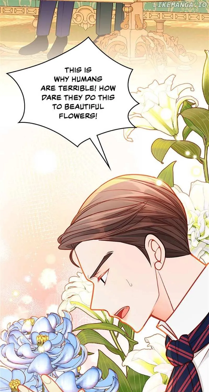 Secret Wardrobe Of The Duchess Chapter 90 page 40 - 
