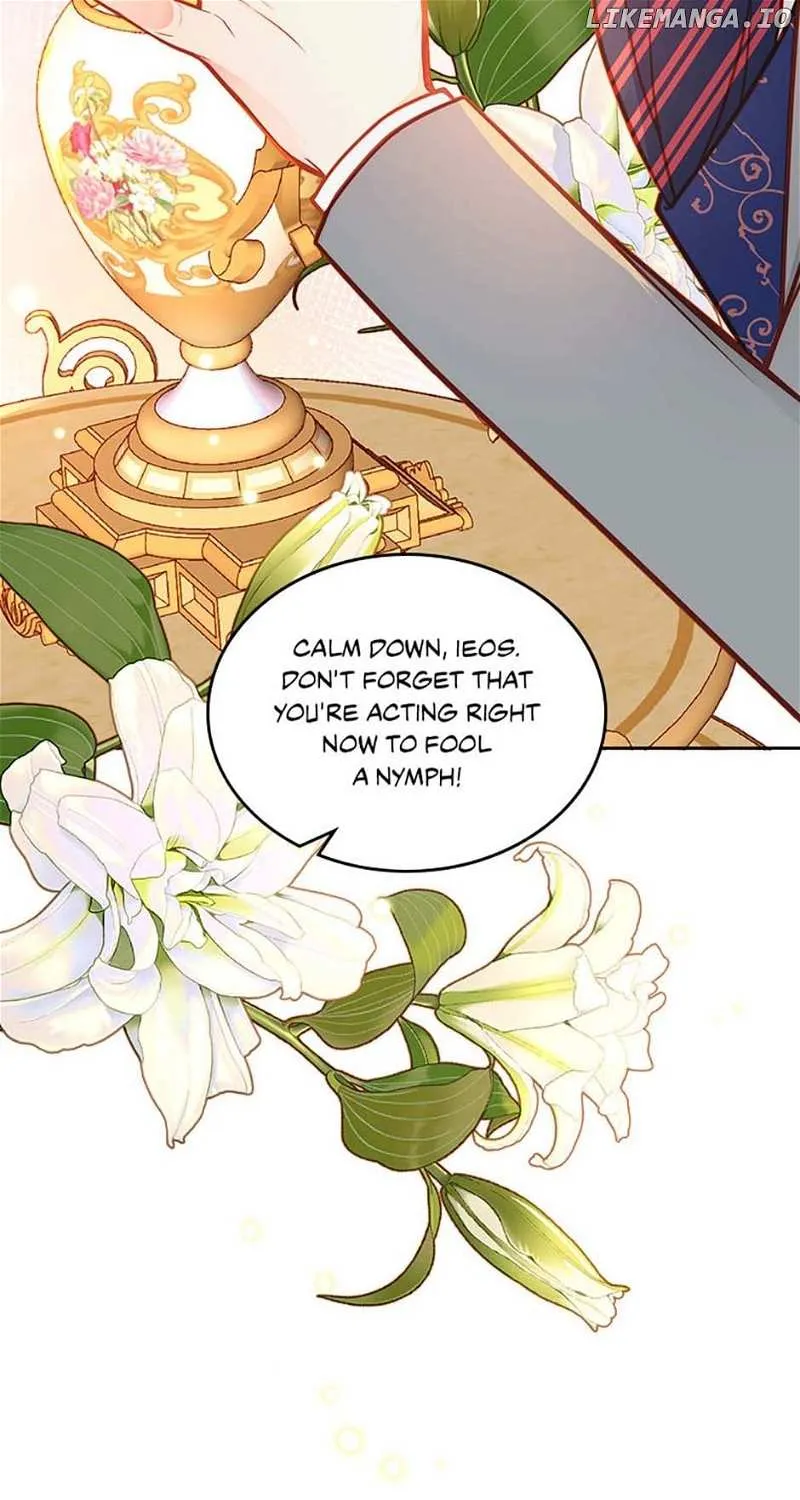 Secret Wardrobe Of The Duchess Chapter 90 page 42 - 