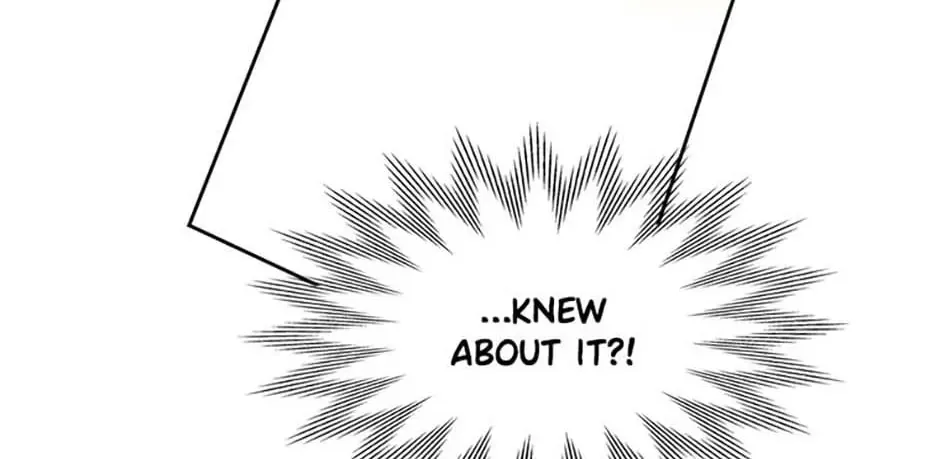 Secret Wardrobe Of The Duchess Chapter 91 page 162 - 