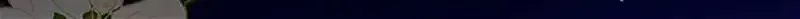Secret Wardrobe Of The Duchess Chapter 92 page 184 - 