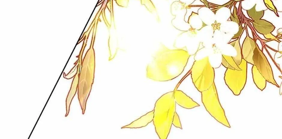 Secret Wardrobe Of The Duchess Chapter 94 page 227 - 