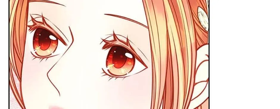 Secret Wardrobe Of The Duchess Chapter 95 page 117 - 