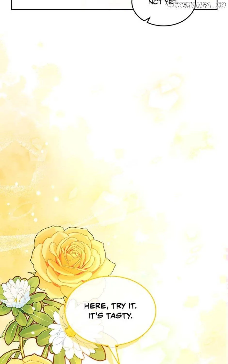 Secret Wardrobe Of The Duchess Chapter 95 page 58 - 
