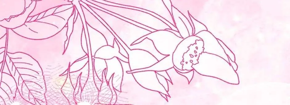 Secret Wardrobe Of The Duchess Chapter 96 page 7 - 
