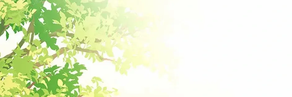 Secret Wardrobe Of The Duchess Chapter 98 page 141 - 