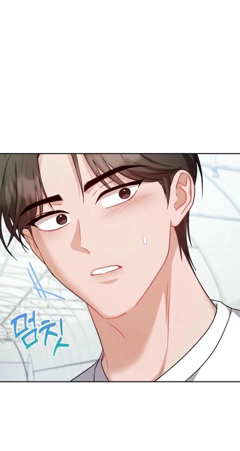 See You at the Pepper Field! Chapter 23 page 65 - 