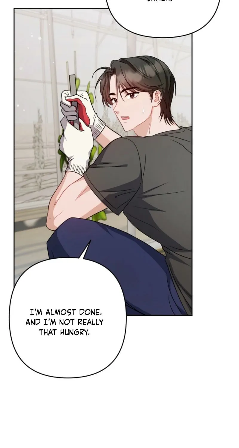 See You in the Chili Pepper Field! Chapter 26 page 47 - 