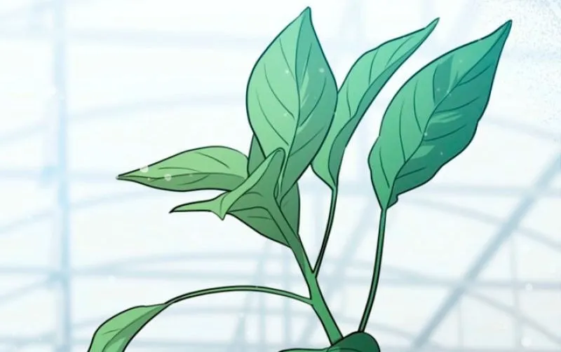 See You in the Chili Pepper Field! Chapter 7 page 42 - 