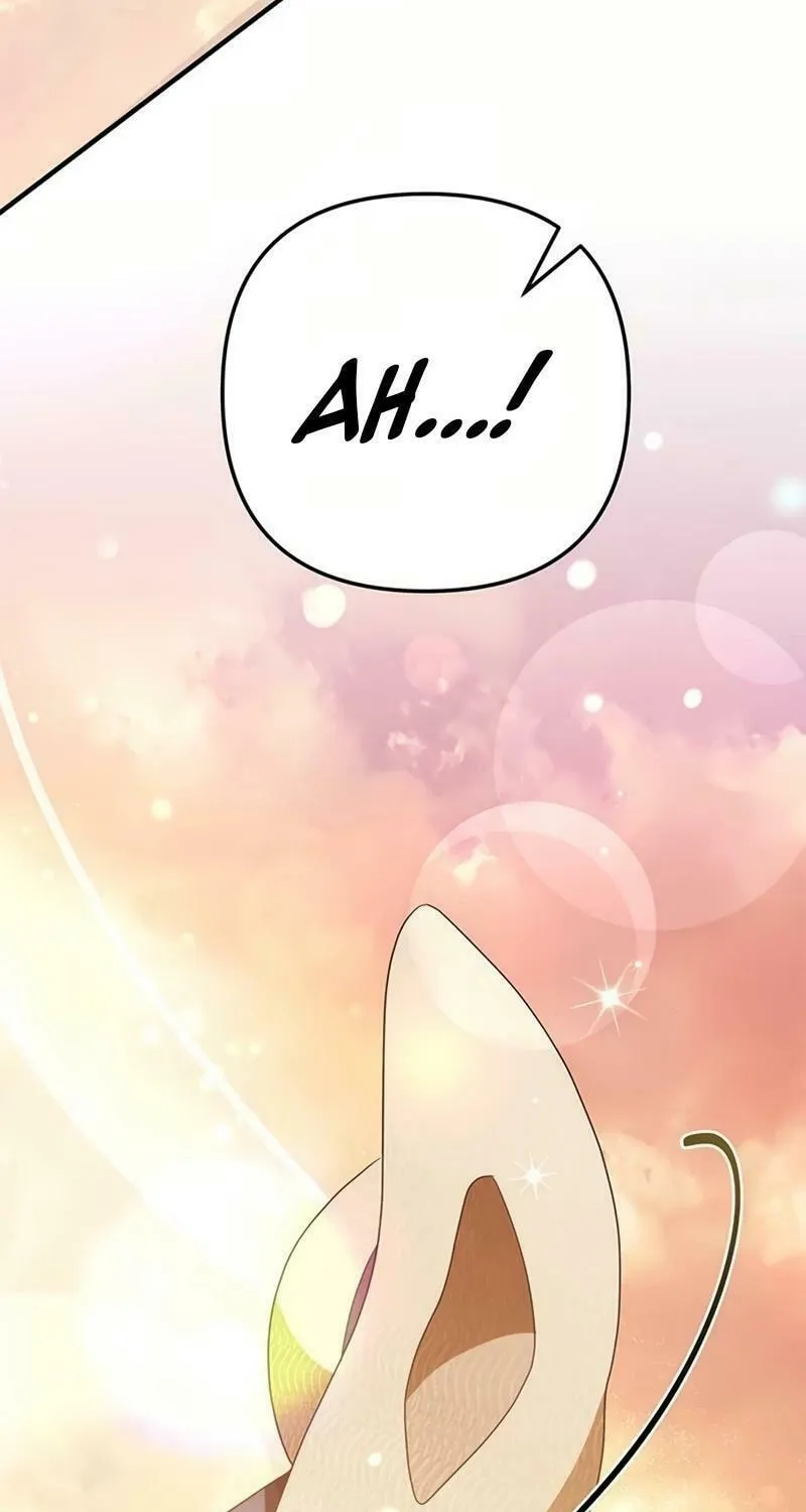 Seeking for Your Forgiveness Chapter 15 page 69 - 