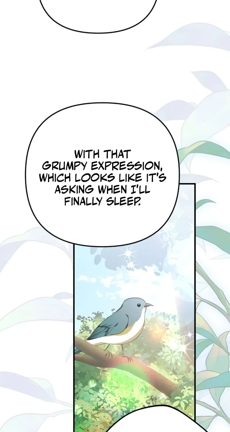 Seeking for Your Forgiveness Chapter 25 page 79 - 