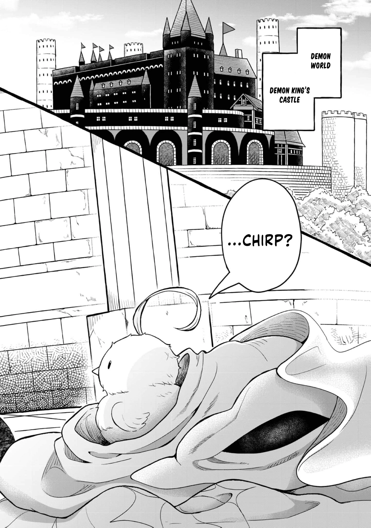 Seijo Dakedo Yami Ochi Shitara Hiyoko ni Narimashita! @Comic Chapter 1 page 12 - 