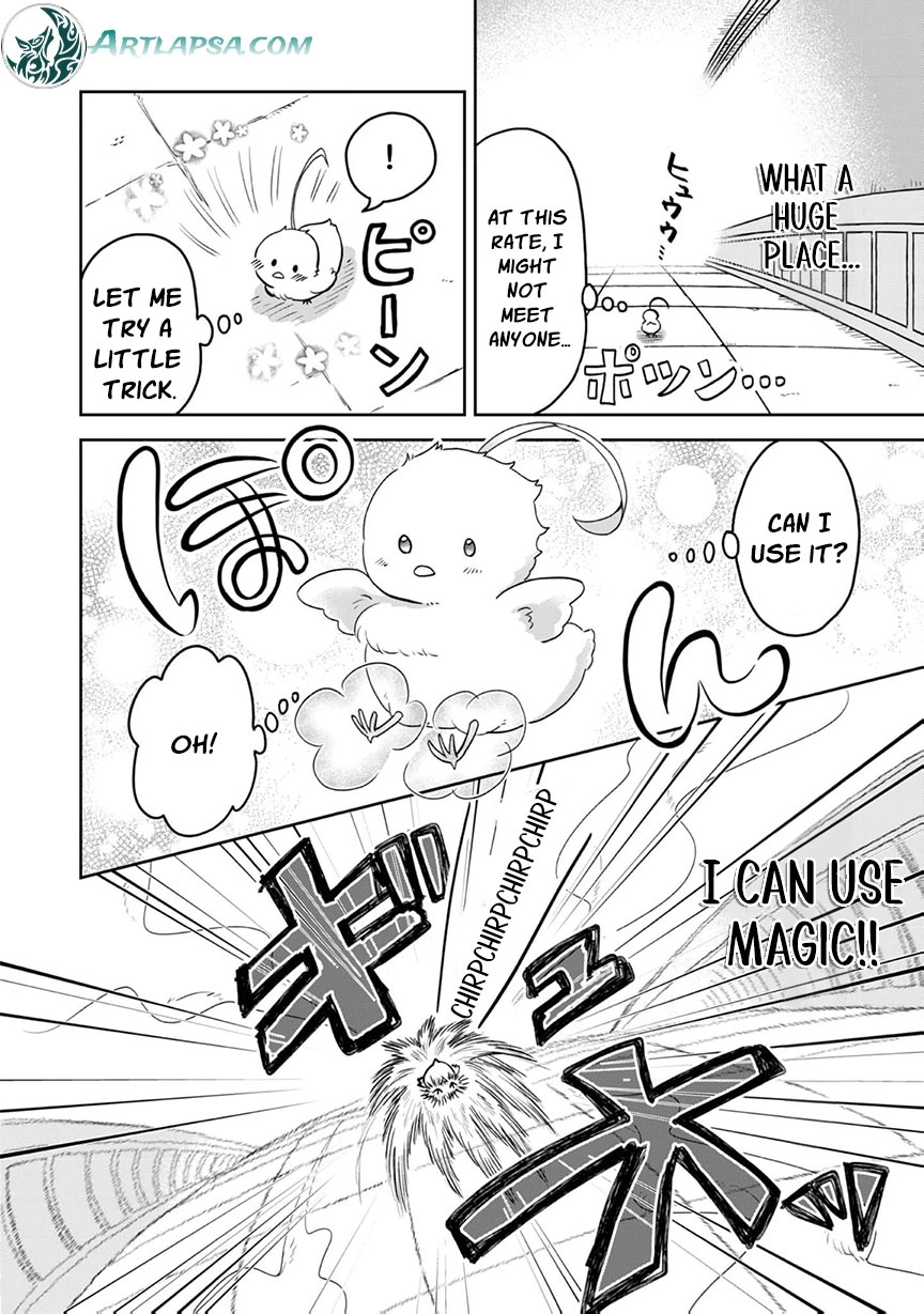 Seijo Dakedo Yami Ochi Shitara Hiyoko ni Narimashita! @Comic Chapter 1 page 36 - 