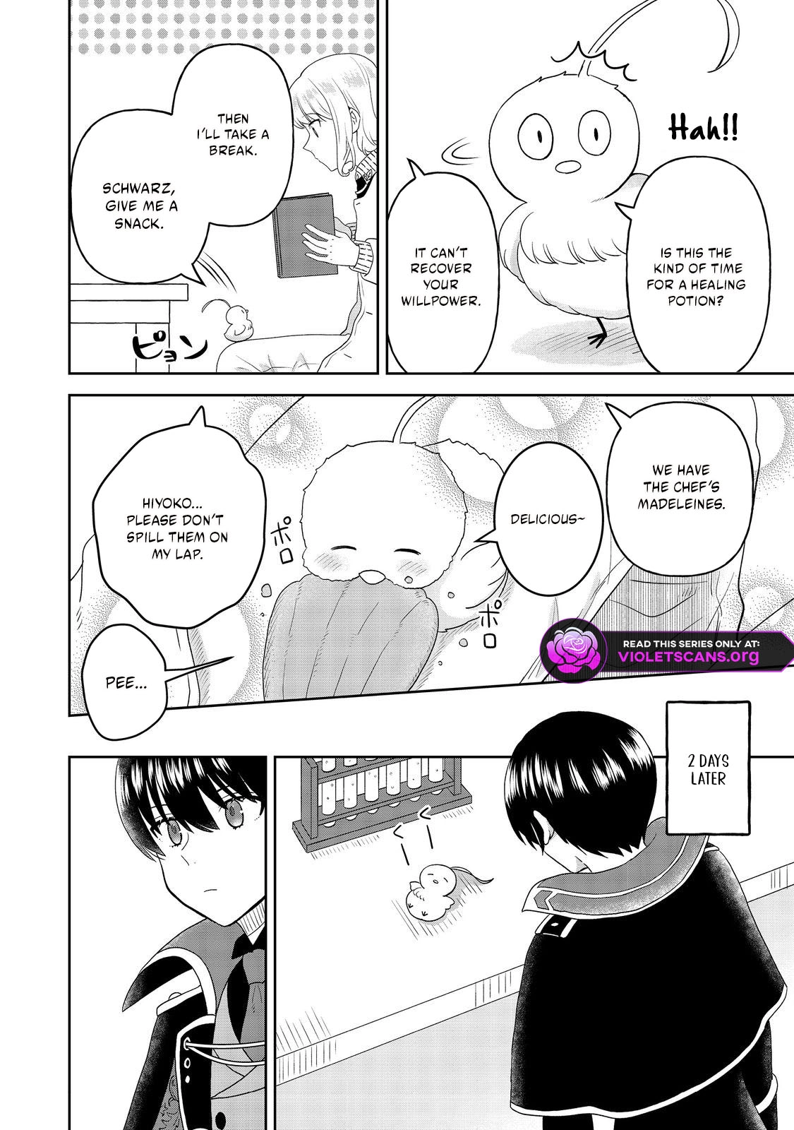Seijo Dakedo Yami Ochi Shitara Hiyoko ni Narimashita! @Comic Chapter 12.2 page 11 - 