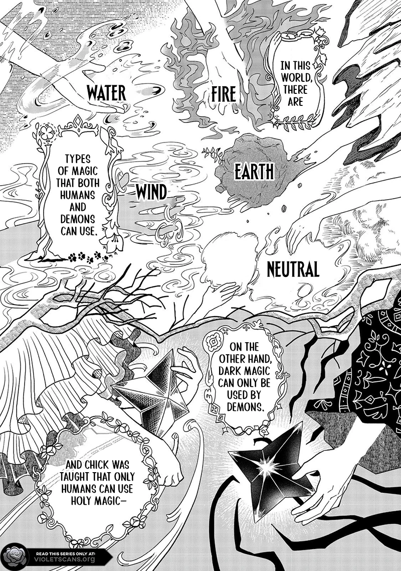 Seijo Dakedo Yami Ochi Shitara Hiyoko ni Narimashita! @Comic Chapter 4.1 page 2 - 