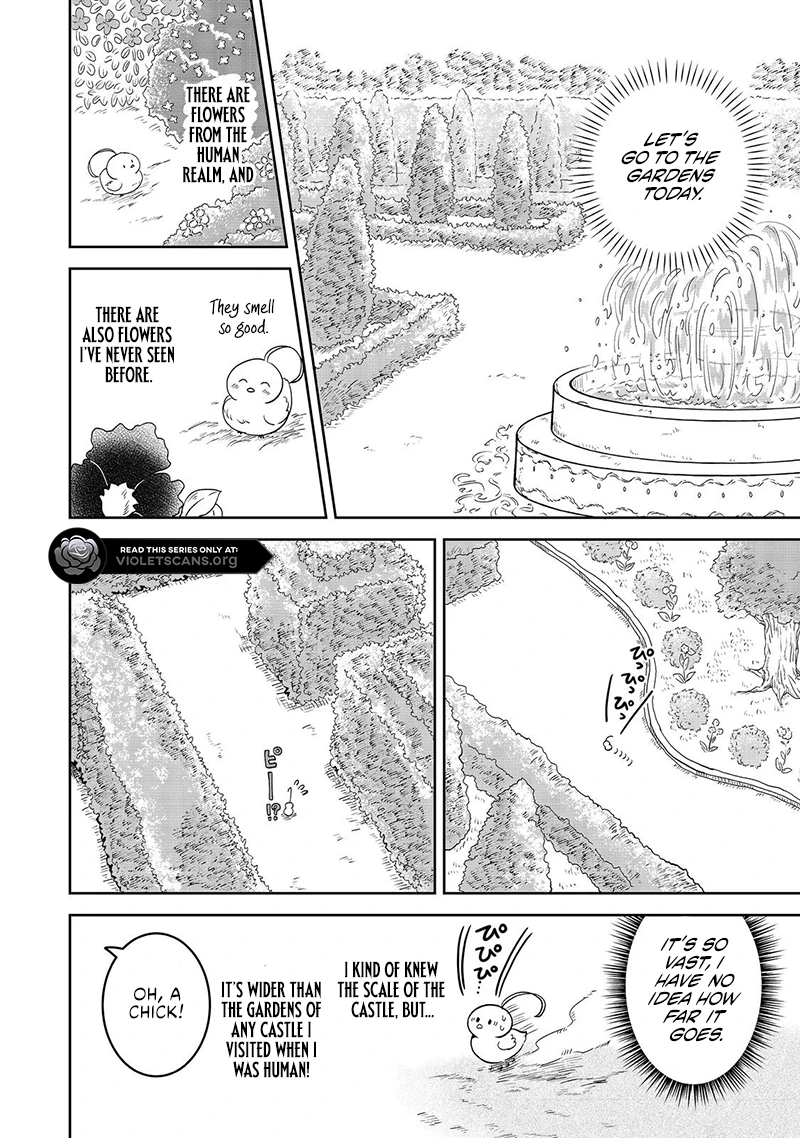 Seijo Dakedo Yami Ochi Shitara Hiyoko ni Narimashita! @Comic Chapter 6.1 page 5 - 
