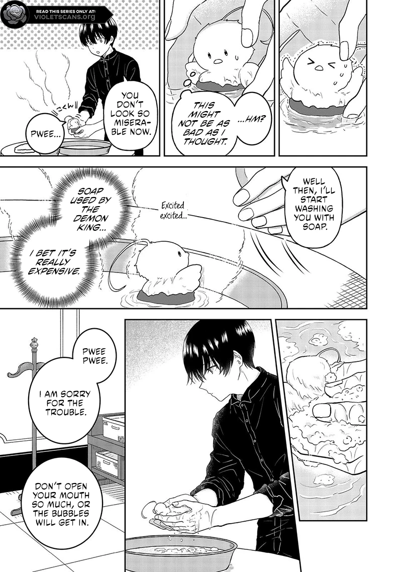 Seijo Dakedo Yami Ochi Shitara Hiyoko ni Narimashita! @Comic Chapter 8.1 page 6 - 