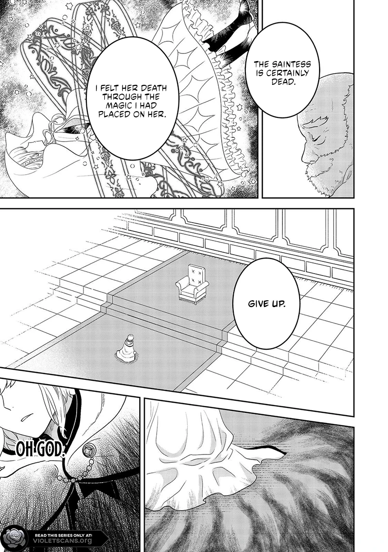 Seijo Dakedo Yami Ochi Shitara Hiyoko ni Narimashita! @Comic Chapter 8.2 page 3 - 