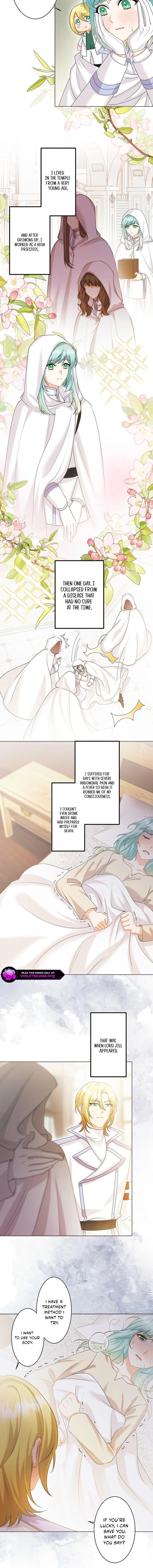 Seiken Reijou no Kareinaru Oshi Katsu ~Aisuru Kishi wa Watashi ga Zenryoku de Mamorimasu~ Chapter 15 page 12 - 