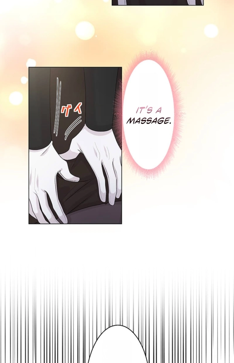 Seiken Reijou no Kareinaru Oshi Katsu ~Aisuru Kishi wa Watashi ga Zenryoku de Mamorimasu~ Chapter 18 page 27 - 