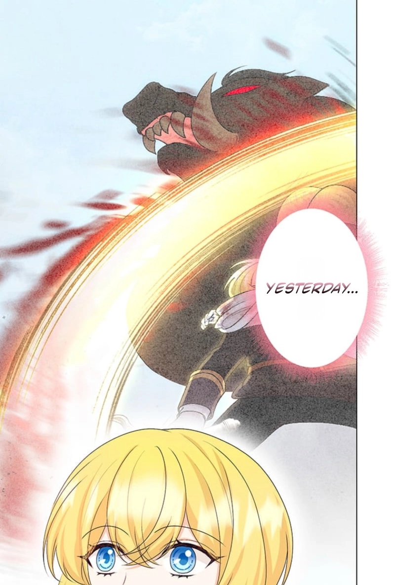 Seiken Reijou no Kareinaru Oshi Katsu ~Aisuru Kishi wa Watashi ga Zenryoku de Mamorimasu~ Chapter 18 page 41 - 