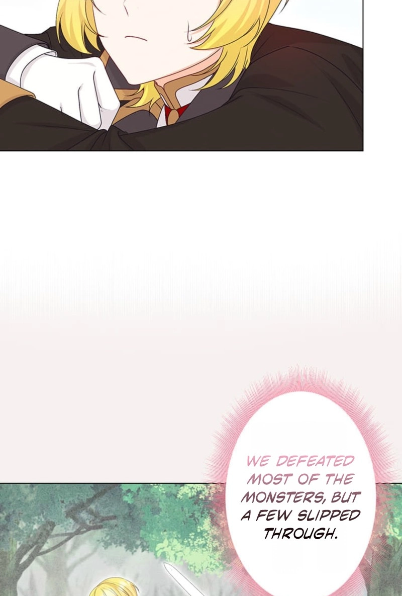 Seiken Reijou no Kareinaru Oshi Katsu ~Aisuru Kishi wa Watashi ga Zenryoku de Mamorimasu~ Chapter 18 page 42 - 