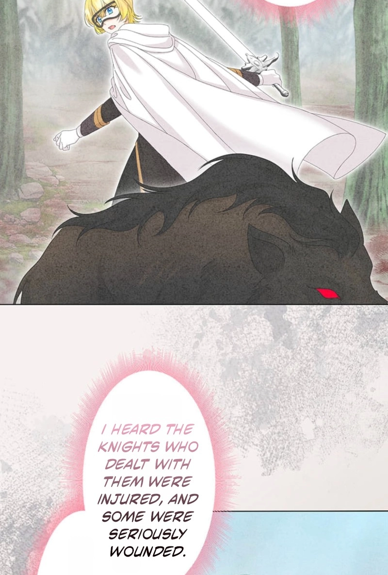 Seiken Reijou no Kareinaru Oshi Katsu ~Aisuru Kishi wa Watashi ga Zenryoku de Mamorimasu~ Chapter 18 page 43 - 