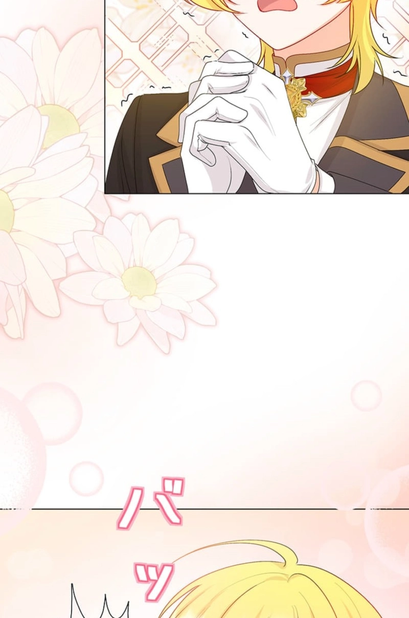 Seiken Reijou no Kareinaru Oshi Katsu ~Aisuru Kishi wa Watashi ga Zenryoku de Mamorimasu~ Chapter 18 page 65 - 