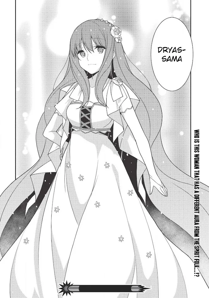 Seirei Gensouki Chapter 19 page 30 - 