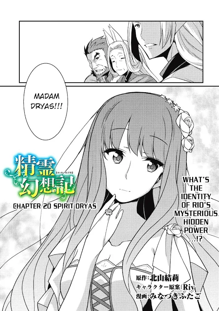 Seirei Gensouki Chapter 20 page 2 - 