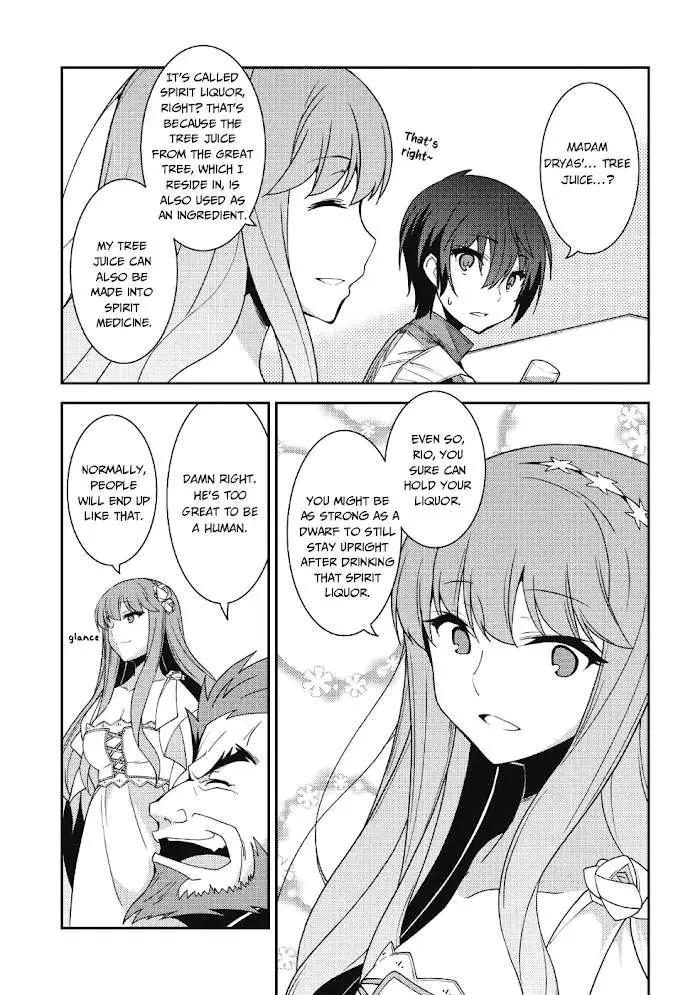 Seirei Gensouki Chapter 21 page 11 - 