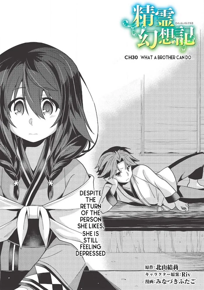 Seirei Gensouki Chapter 30 page 4 - 