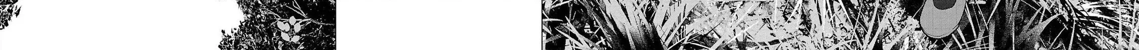 Seishokuki Chapter 137 page 28 - 