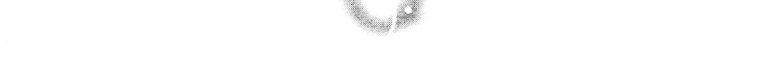 Seishokuki Chapter 33 page 38 - 